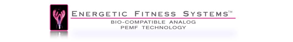 Energetic Fitness Systems